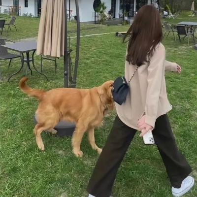 惊狂